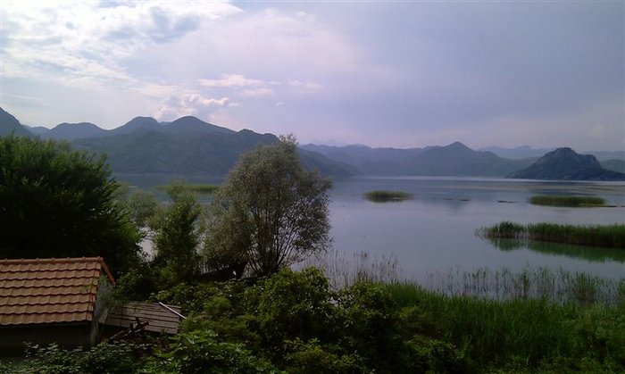 IMAG0404.jpg (71.84 Kio) Consulté 33184 fois IMAG0404.jpg