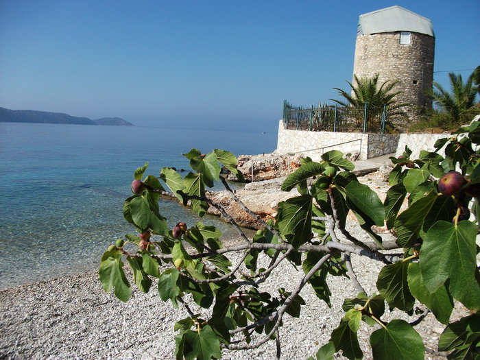 DSCF0271.JPG (2.62 Mio) Consulté 32480 fois DSCF0271.JPG