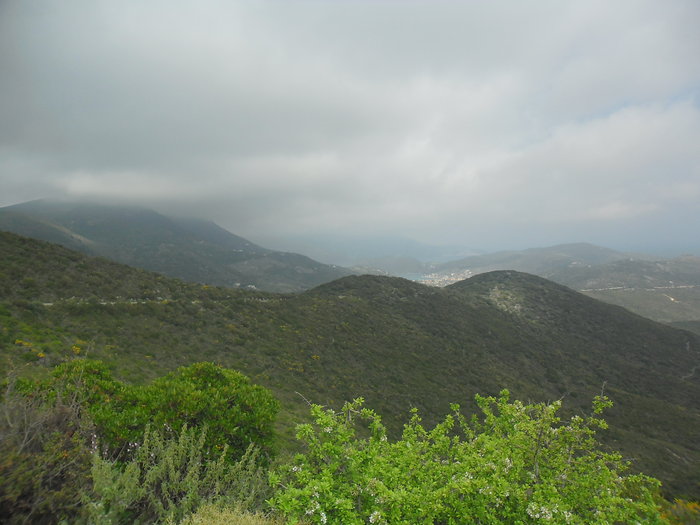 SAM_1396.JPG (2.66 Mio) Consulté 33957 fois SAM_1396.JPG