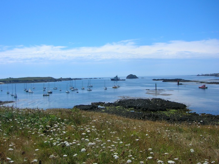 DSCN3100.jpg (695.85 Kio) Consulté 50949 fois DSCN3100.jpg