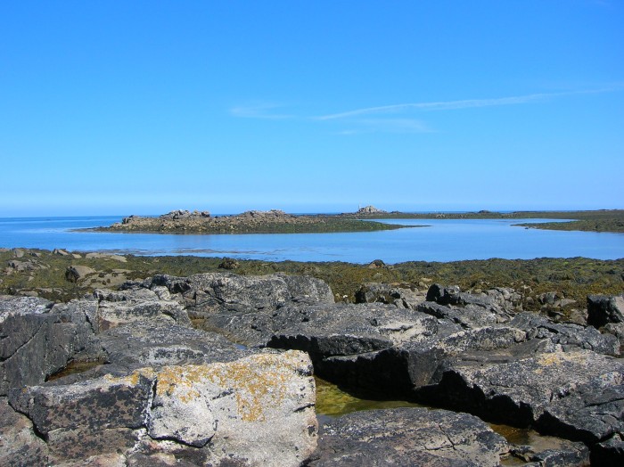 DSCN3069.jpg (709.56 Kio) Consulté 14984 fois DSCN3069.jpg