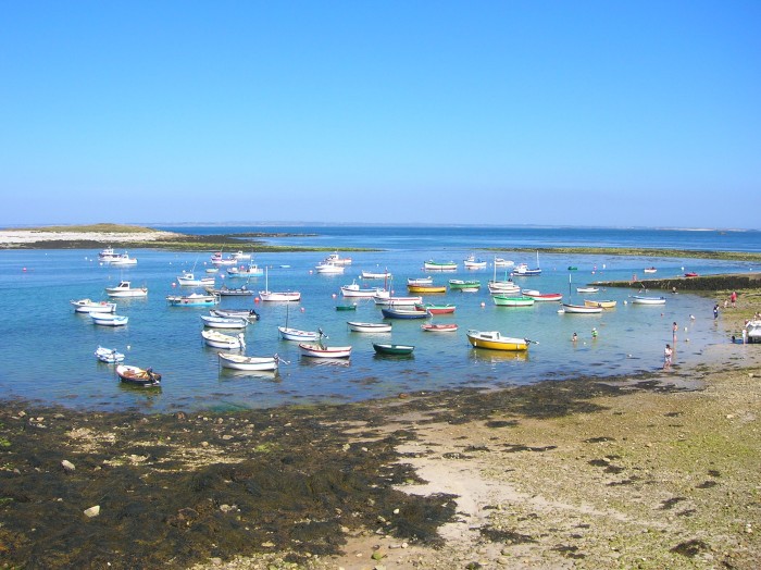 DSCN3074.jpg (712.42 Kio) Consulté 14984 fois DSCN3074.jpg