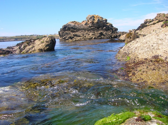 DSCN3106.jpg (783.67 Kio) Consulté 14994 fois DSCN3106.jpg