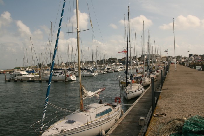 rushcup_5.jpg (223.14 Kio) Consulté 31437 fois rushcup_5.jpg