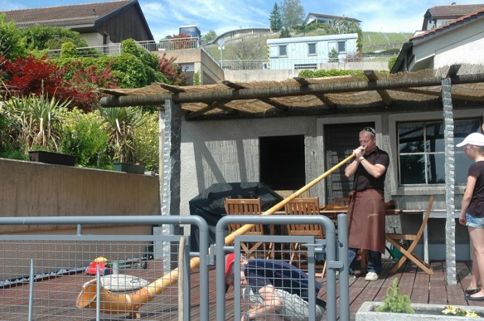 DSC_0413_800.jpg (268.81 Kio) Consulté 36239 fois DSC_0413_800.jpg