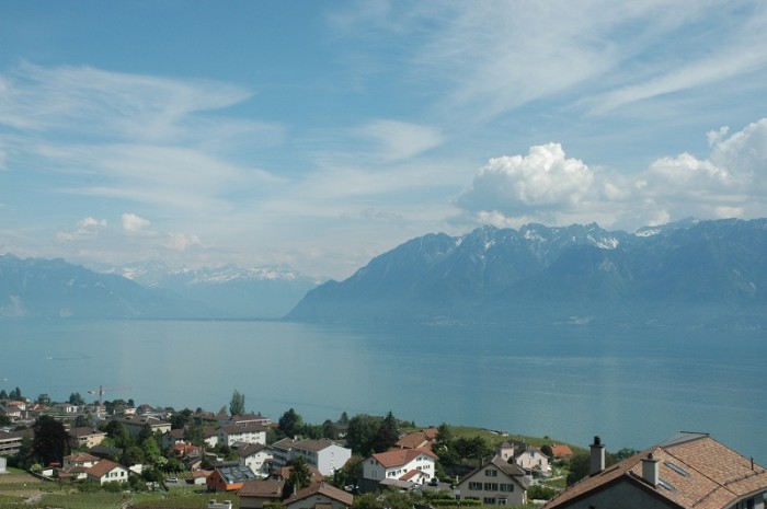 DSC_0419_800.jpg (145.19 Kio) Consulté 36239 fois DSC_0419_800.jpg