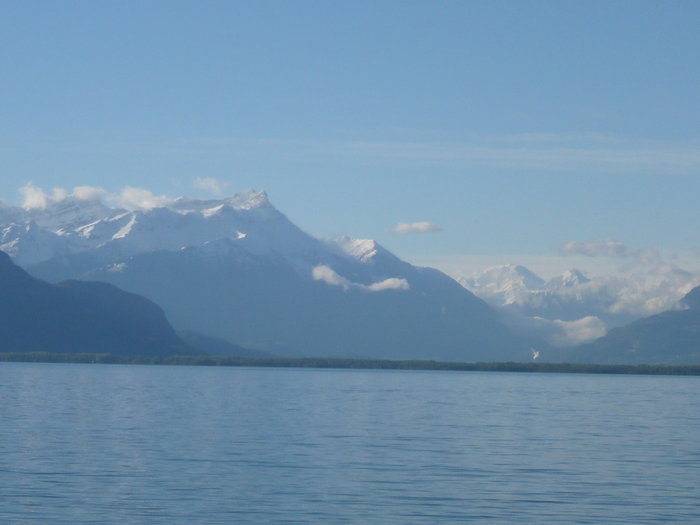 P1020551.JPG (604.62 Kio) Consulté 30466 fois P1020551.JPG