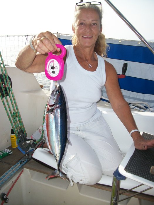 21 oct 2014 pêché un thon 900 grs !!!!! route vers PENICHE (12).JPG (449.3 Kio) Consulté 21133 fois notre 2ème pêche un thon !!!!! 900grs !!!