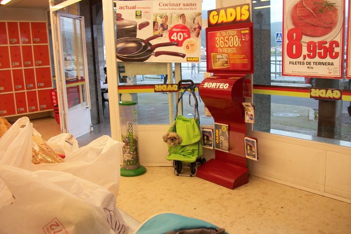 18 octobre 2014 visite de MUROS ( notre 4ème escale !!!) Espagne (6).JPG (2.14 Mio) Consulté 21133 fois interdit aux chiens ds les magasins !!! on a trouvé la solution !!!!!!!!!