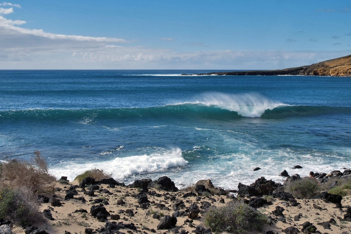 _DSF4307.JPG (789.5 Kio) Consulté 42186 fois petit coucou de l'ile de Graciosa
