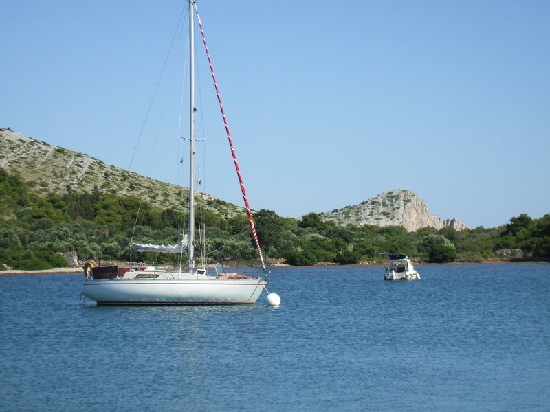 DSCF0378.JPG (3.28 Mio) Consulté 29667 fois DSCF0378.JPG