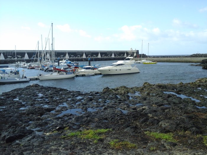 20151016_101238.jpg (1.13 Mio) Consulté 26260 fois Daltica à La Restinga