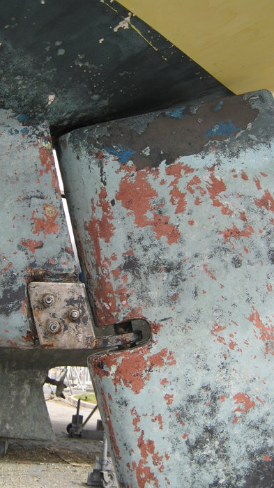 IMG_3978.JPG (2.34 Mio) Consulté 38269 fois crapaudine delph32