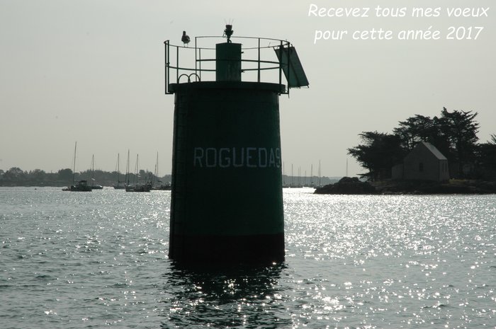 Voeux_2017.JPG (636.02 Kio) Consulté 35246 fois Voeux_2017.JPG