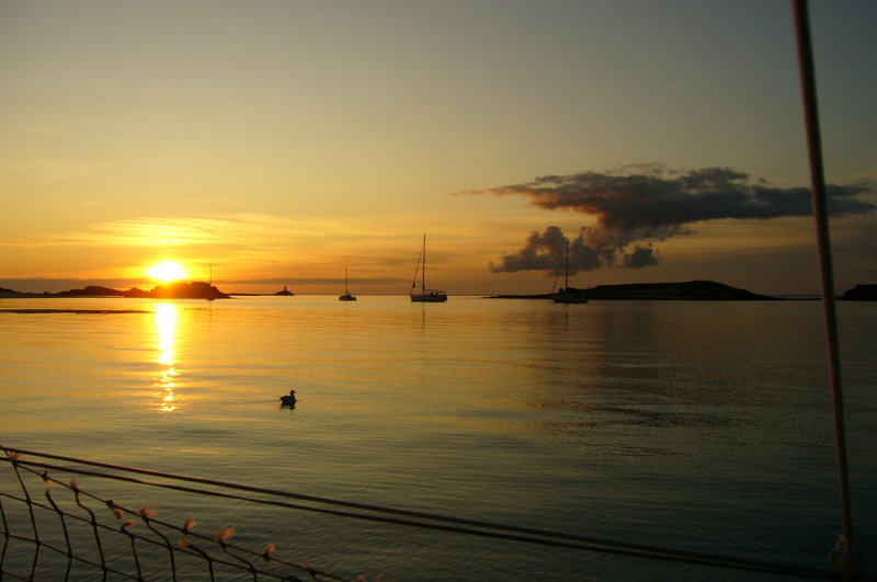 P1060627.JPG (512.96 Kio) Consulté 18688 fois P1060627.JPG