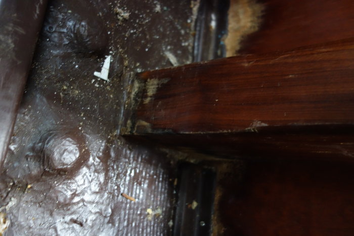 Epontille pied_1.JPG (3.27 Mio) Consulté 39641 fois Epontille pied_1.JPG