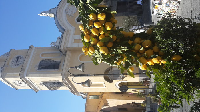 20170414_151608.jpg (3.7 Mio) Consulté 37216 fois Les citrons de Procida