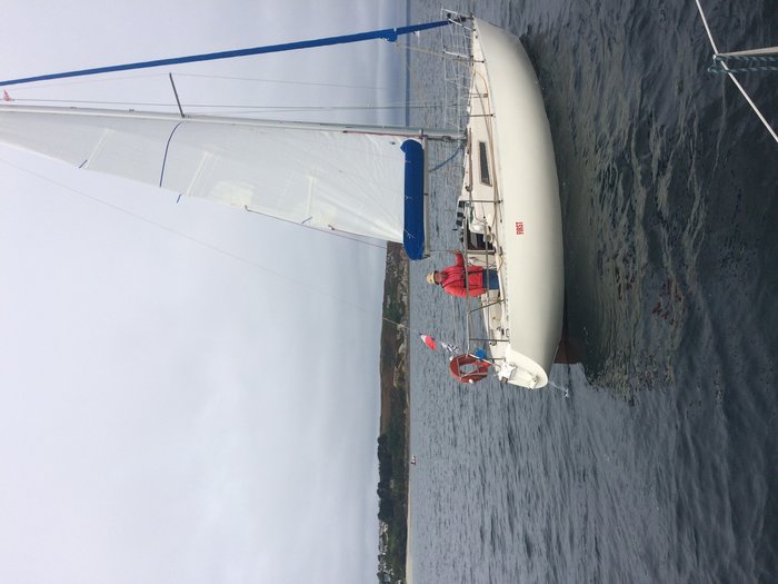 IMG_3796.jpg (1.69 Mio) Consulté 45811 fois IMG_3796.jpg