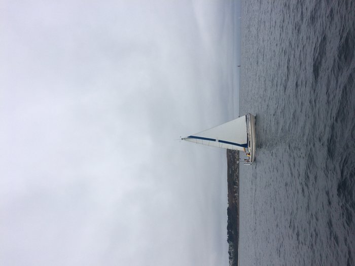 IMG_3818.jpg (1.44 Mio) Consulté 36289 fois IMG_3818.jpg