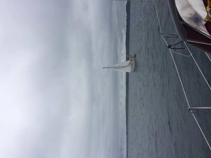 IMG_3824.jpg (1.44 Mio) Consulté 45811 fois IMG_3824.jpg