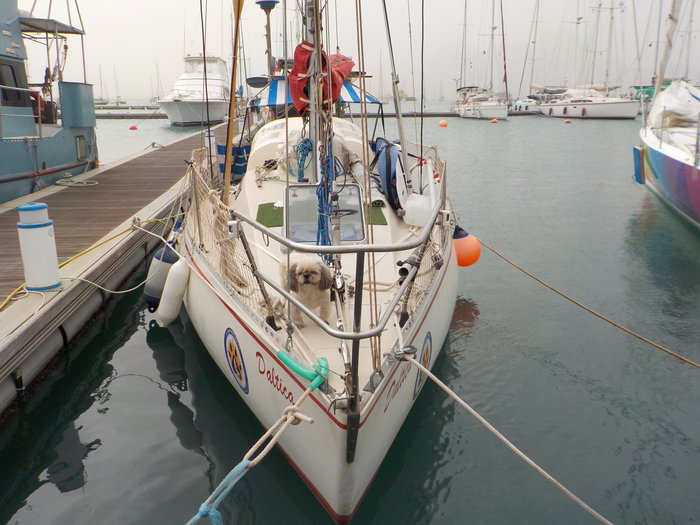 22 déc 2017 MINDELO (18).JPG (6.31 Mio) Consulté 37128 fois 22 déc 2017 MINDELO (18).JPG