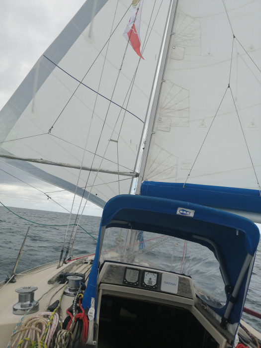 IMG_20220628_114839.jpg (644.64 Kio) Consulté 10590 fois IMG_20220628_114839.jpg