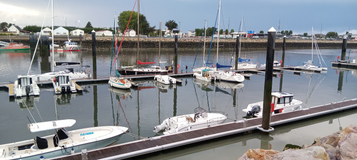 Pumba et Hasta les courageux Valeriquais