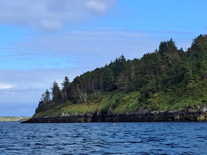 WhatsApp Image 2025-06-18 à 21.07.03_599fb55c.jpg