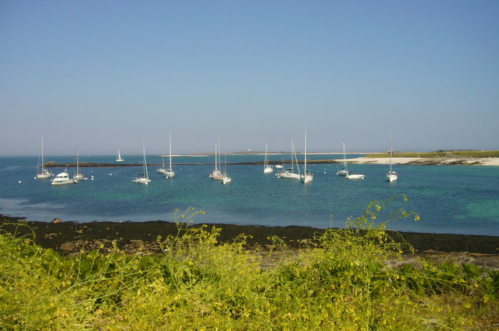 P1080143.JPG (615.25 Kio) Consulté 21738 fois P1080143.JPG