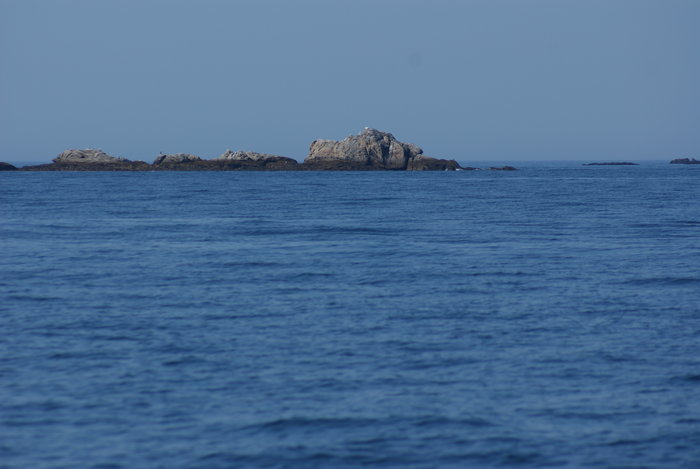 DSC00672.JPG (2.16 Mio) Consulté 24825 fois DSC00672.JPG