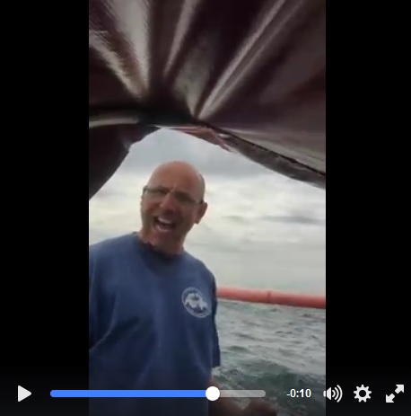 Aramiis First30CHERBOURGRISNEZ