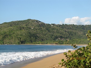 NUnky guadeloupe first30 300