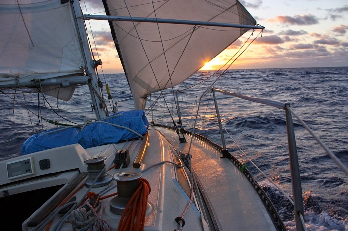 django Transat first30