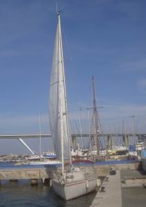 barba_rossa_300.jpg barba_rossa_300.jpg