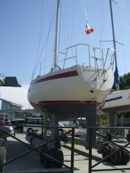 magicien_250.jpg magicien_250.jpg