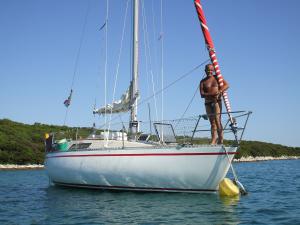 maracol300.jpg maracol300.jpg