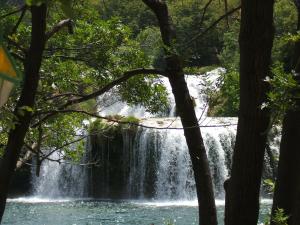 skadin300.jpg skadin300.jpg