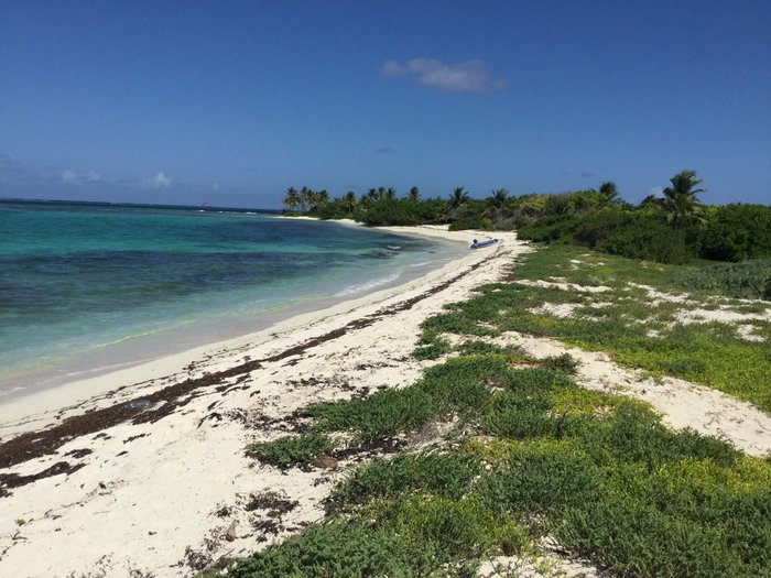 vitamin voeux2018 first30